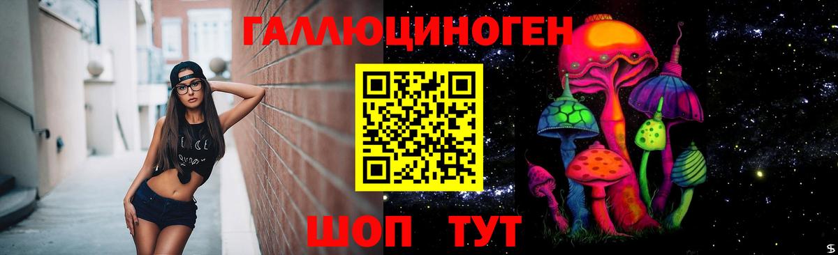 Батайск  закладка  Вход с VPN  Галлюциногенные грибы GOLDEN TEACHER 